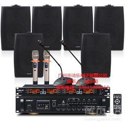 【會議音響系統(tǒng)專業(yè)音響功放套裝組合】-