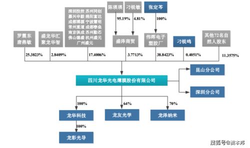龍華薄膜 新三板退市轉戰創業板，技術短板與會計隱憂成挑戰